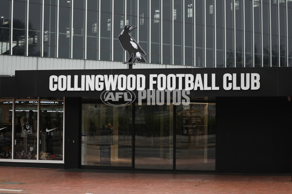 AFL 2024 Training - Collingwood 310724 - A-52434266