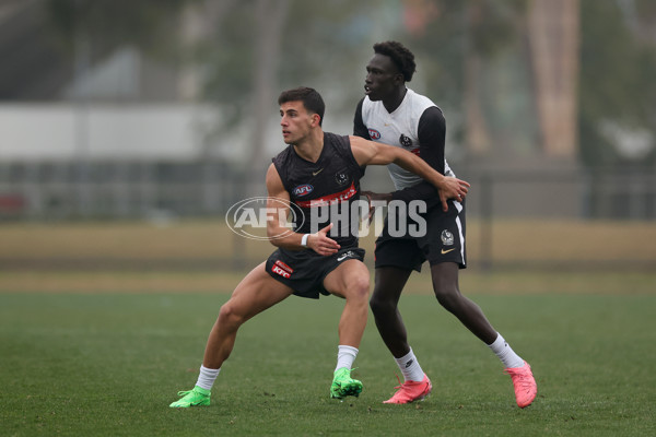 AFL 2024 Training - Collingwood 310724 - A-52434318