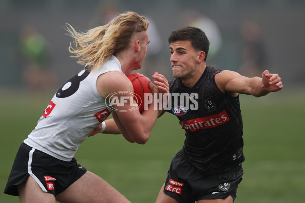 AFL 2024 Training - Collingwood 310724 - A-52434339