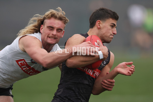 AFL 2024 Training - Collingwood 310724 - A-52434340