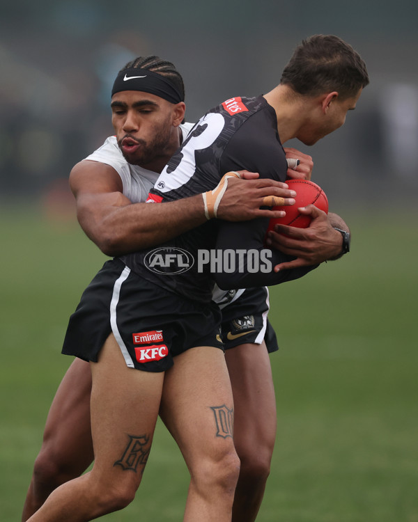 AFL 2024 Training - Collingwood 310724 - A-52437185