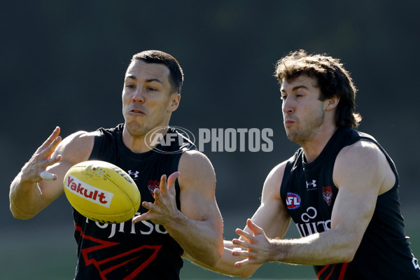 AFL 2024 Training - Essendon 010824 - A-52439635