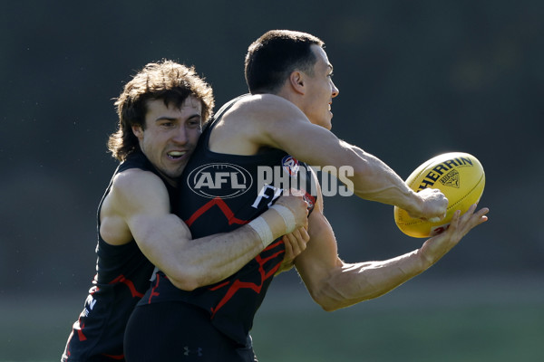 AFL 2024 Training - Essendon 010824 - A-52439639