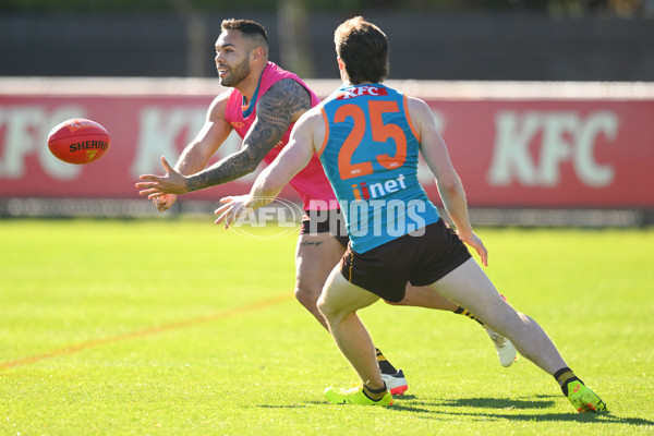 AFL 2024 Training - Hawthorn 020824 - A-52439703