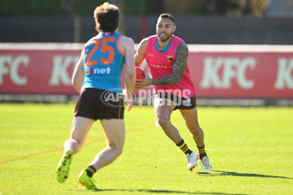 AFL 2024 Training - Hawthorn 020824 - A-52439704