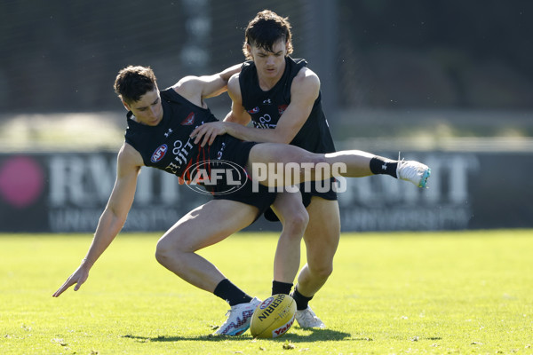 AFL 2024 Training - Essendon 010824 - A-52440136