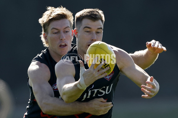 AFL 2024 Training - Essendon 010824 - A-52440137