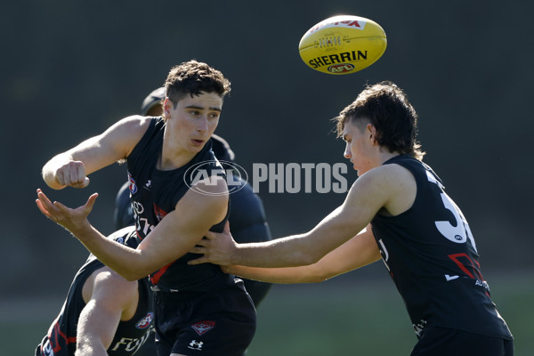 AFL 2024 Training - Essendon 010824 - A-52440140