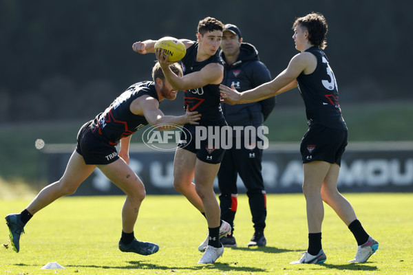 AFL 2024 Training - Essendon 010824 - A-52440143