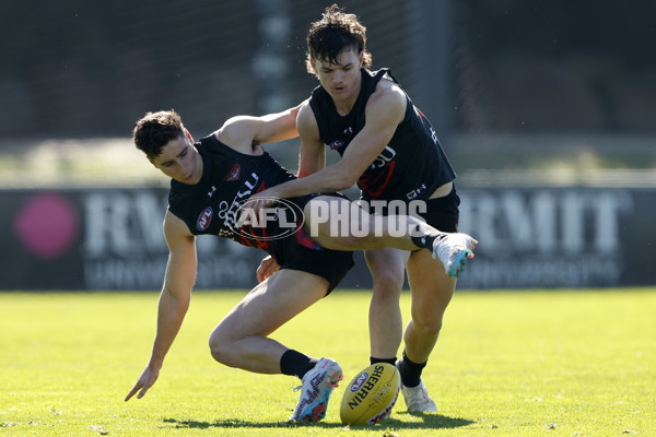 AFL 2024 Training - Essendon 010824 - A-52440145