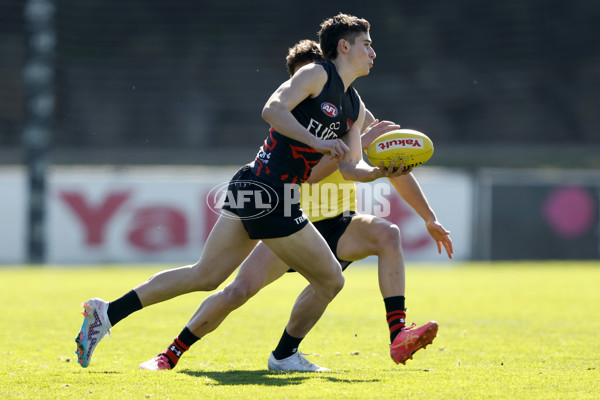 AFL 2024 Training - Essendon 010824 - A-52440149