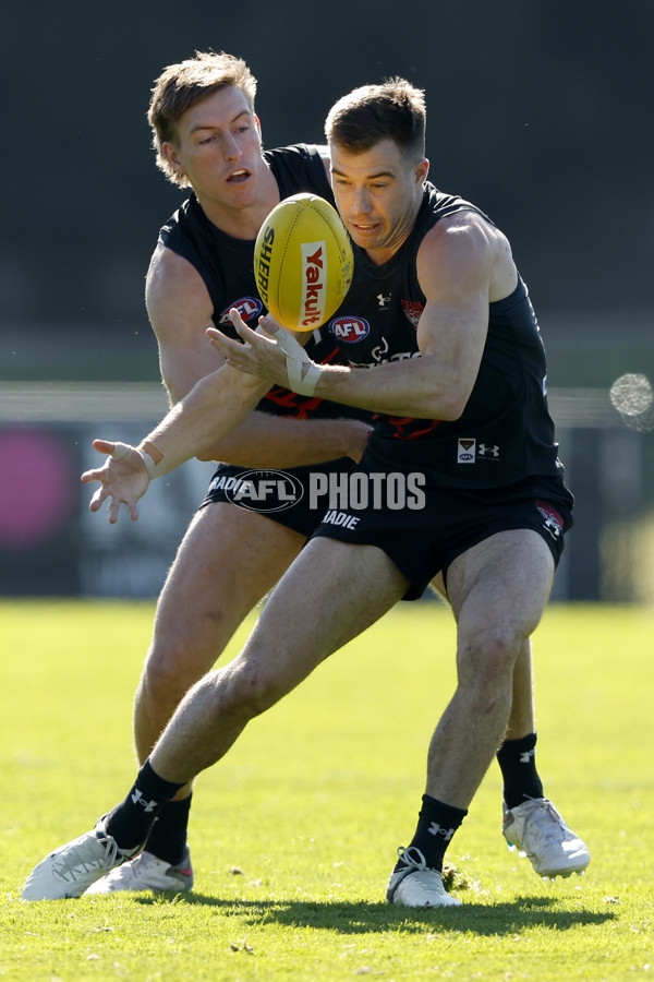 AFL 2024 Training - Essendon 010824 - A-52440150