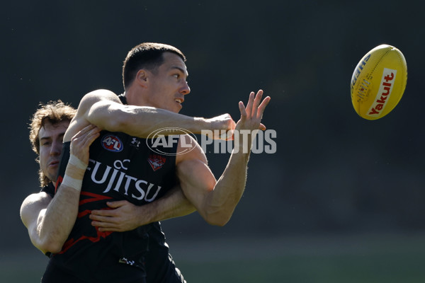 AFL 2024 Training - Essendon 010824 - A-52440152