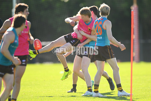 AFL 2024 Training - Hawthorn 020824 - A-52442535