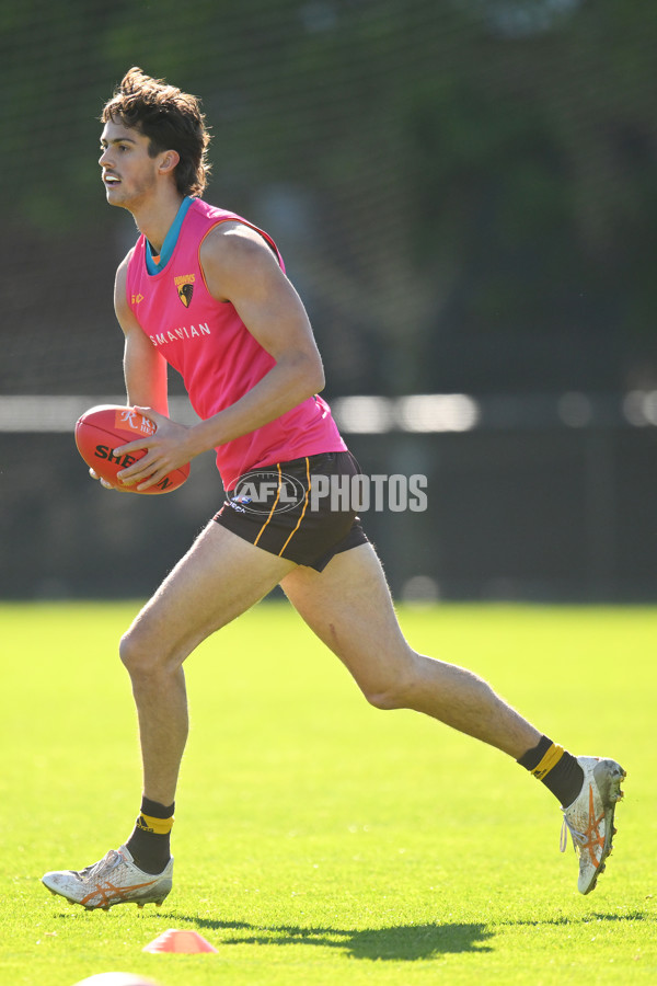 AFL 2024 Training - Hawthorn 020824 - A-52442558