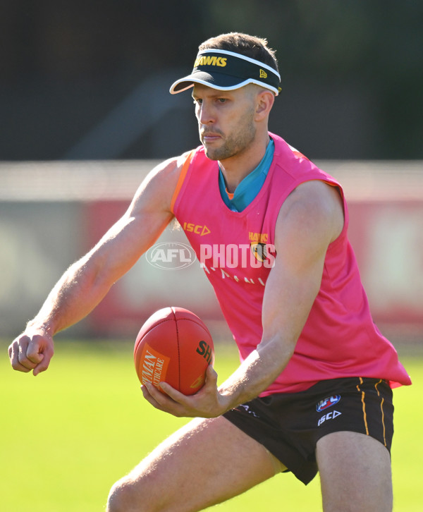 AFL 2024 Training - Hawthorn 020824 - A-52442559
