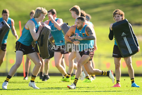 AFL 2024 Training - Hawthorn 020824 - A-52442567