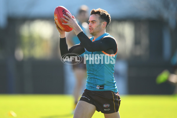 AFL 2024 Training - Hawthorn 020824 - A-52442942