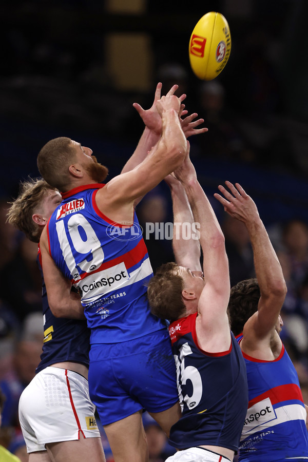 AFL 2024 Round 21 - Footscray v Melbourne - A-52449034