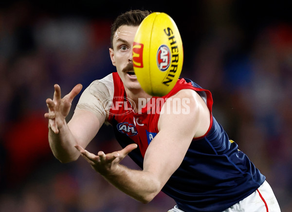 AFL 2024 Round 21 - Footscray v Melbourne - A-52450023