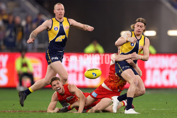 AFL 2024 Round 21 - West Coast v Gold Coast - A-52450062