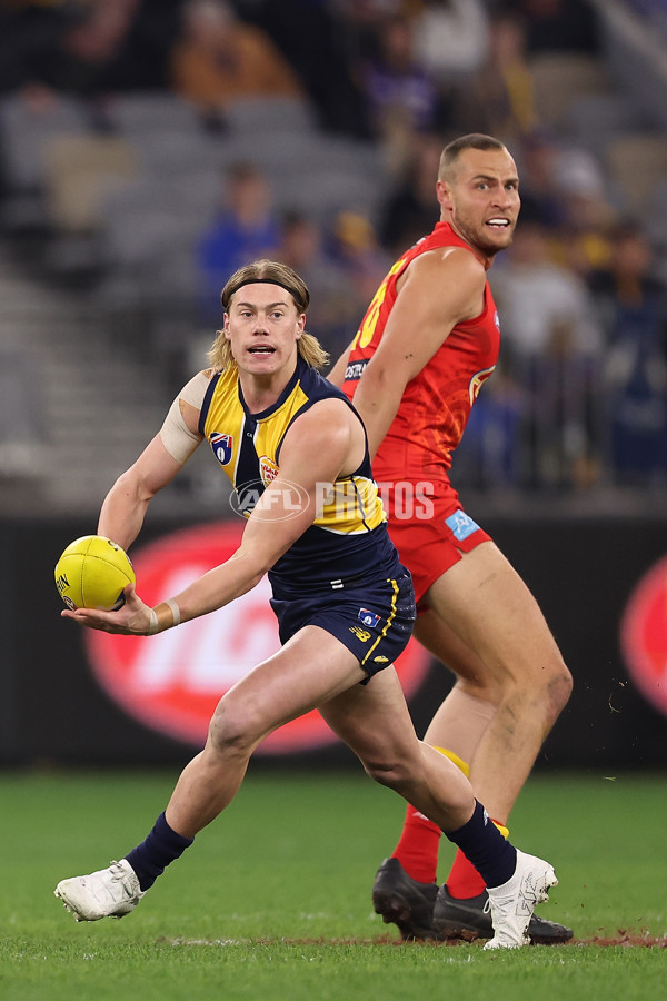 AFL 2024 Round 21 - West Coast v Gold Coast - A-52450073