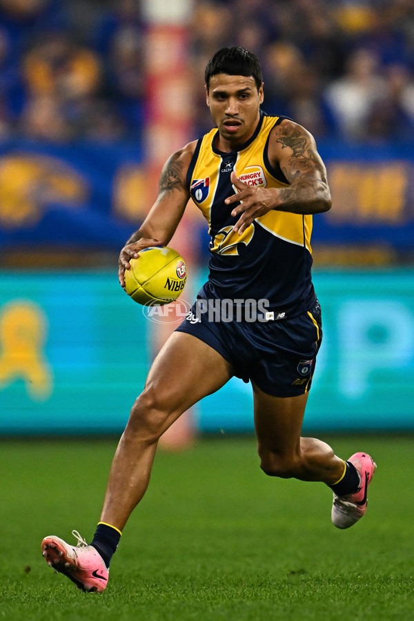 AFL 2024 Round 21 - West Coast v Gold Coast - A-52450088