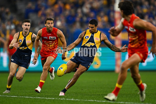 AFL 2024 Round 21 - West Coast v Gold Coast - A-52450089