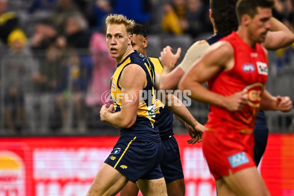 AFL 2024 Round 21 - West Coast v Gold Coast - A-52451726