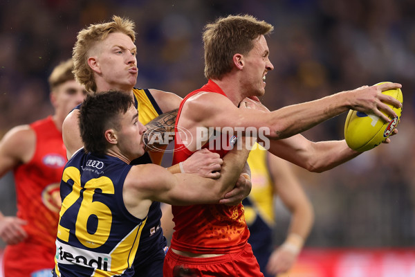 AFL 2024 Round 21 - West Coast v Gold Coast - A-52451757