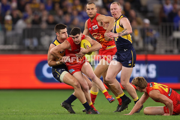 AFL 2024 Round 21 - West Coast v Gold Coast - A-52451791