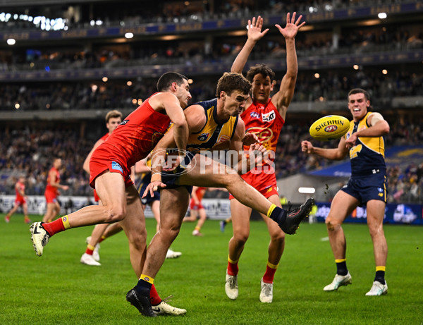 AFL 2024 Round 21 - West Coast v Gold Coast - A-52451809
