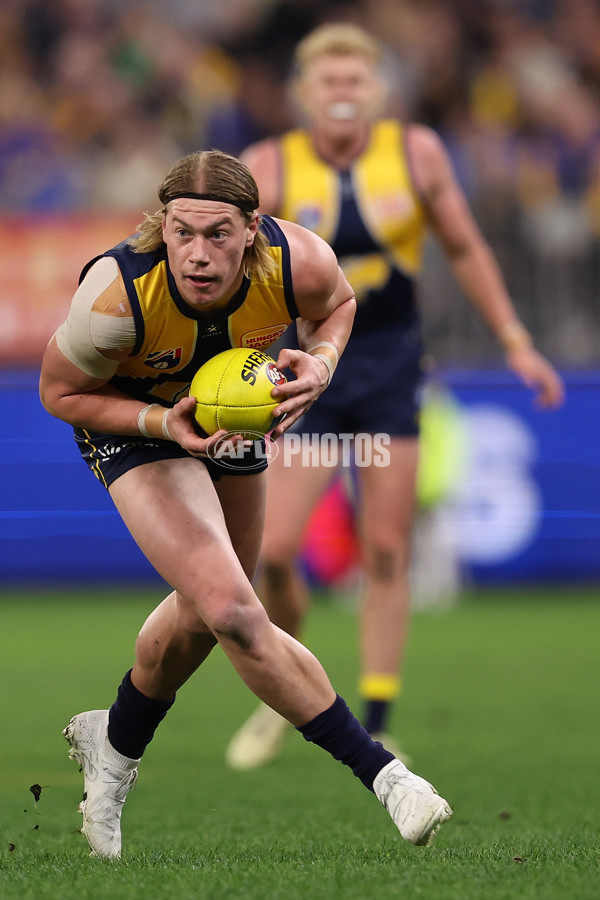 AFL 2024 Round 21 - West Coast v Gold Coast - A-52452353