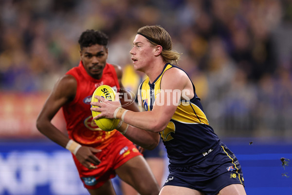 AFL 2024 Round 21 - West Coast v Gold Coast - A-52452355