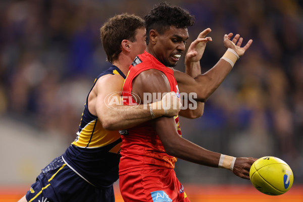 AFL 2024 Round 21 - West Coast v Gold Coast - A-52452363