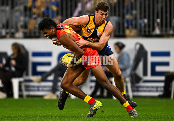 AFL 2024 Round 21 - West Coast v Gold Coast - A-52452392