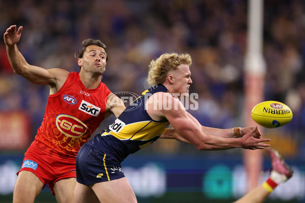 AFL 2024 Round 21 - West Coast v Gold Coast - A-52452401