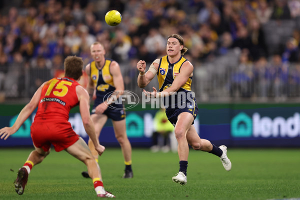 AFL 2024 Round 21 - West Coast v Gold Coast - A-52452403