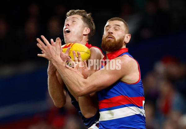 AFL 2024 Round 21 - Footscray v Melbourne - A-52452409