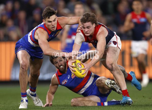 AFL 2024 Round 21 - Footscray v Melbourne - A-52452425