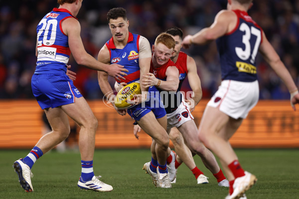 AFL 2024 Round 21 - Footscray v Melbourne - A-52454559