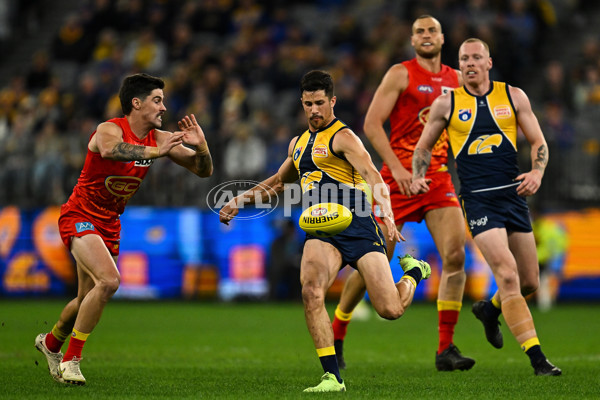 AFL 2024 Round 21 - West Coast v Gold Coast - A-52455095