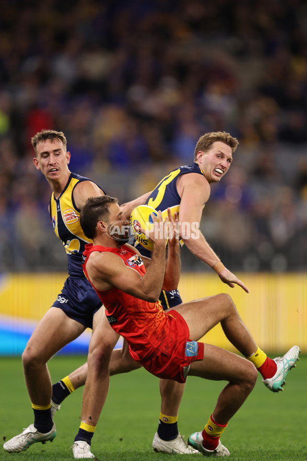 AFL 2024 Round 21 - West Coast v Gold Coast - A-52455101