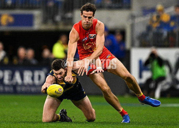 AFL 2024 Round 21 - West Coast v Gold Coast - A-52455128