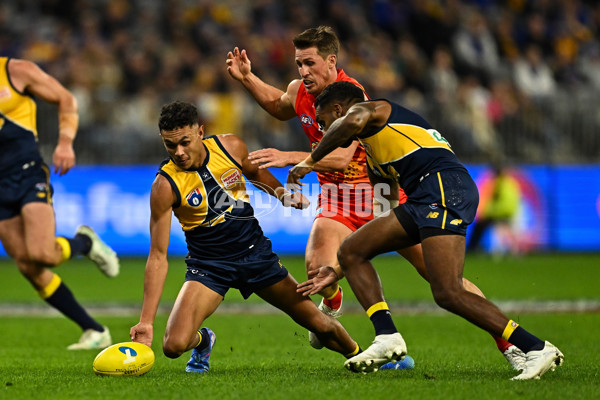 AFL 2024 Round 21 - West Coast v Gold Coast - A-52456995