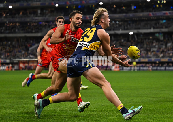 AFL 2024 Round 21 - West Coast v Gold Coast - A-52457013