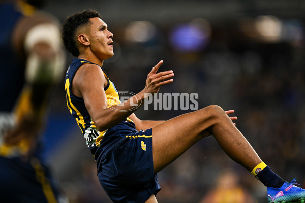 AFL 2024 Round 21 - West Coast v Gold Coast - A-52457066