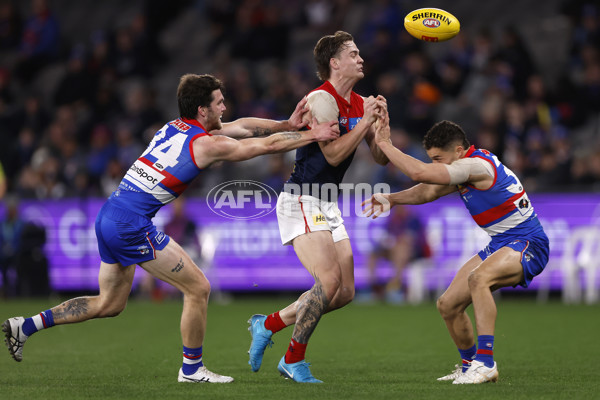 AFL 2024 Round 21 - Footscray v Melbourne - A-52457708