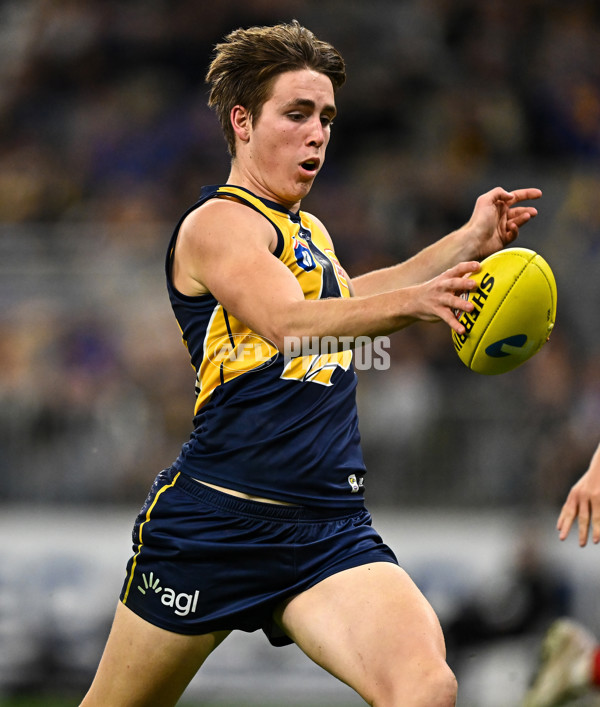 AFL 2024 Round 21 - West Coast v Gold Coast - A-52457754