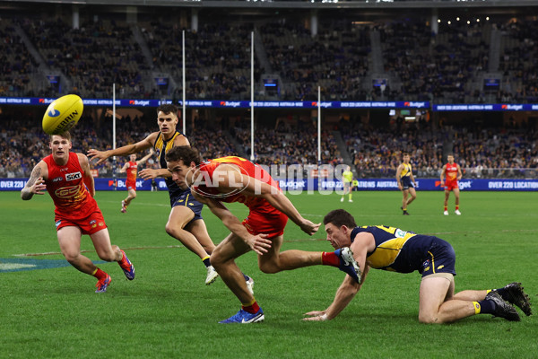 AFL 2024 Round 21 - West Coast v Gold Coast - A-52457757